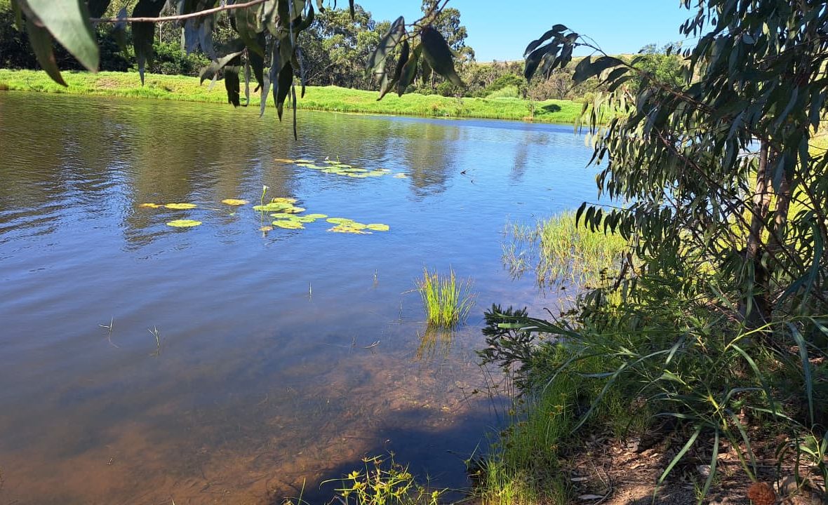 Tutrees Bass Farm