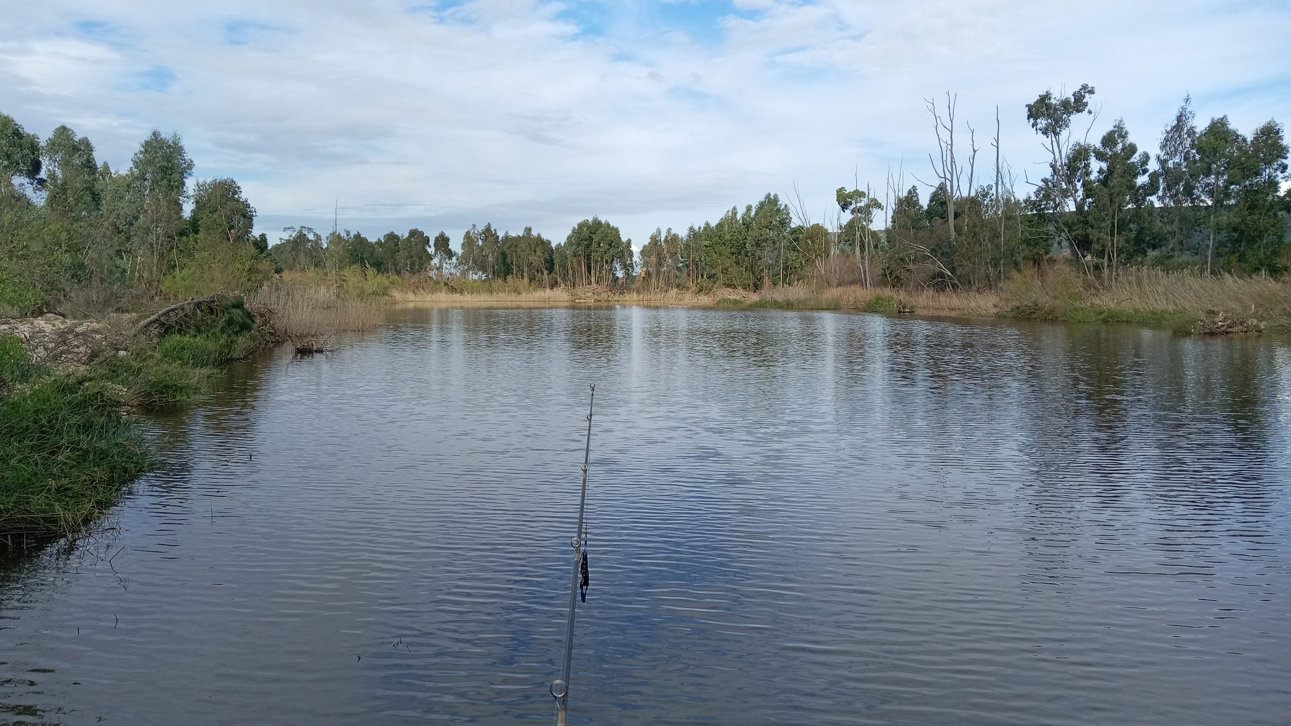Kruisrivier